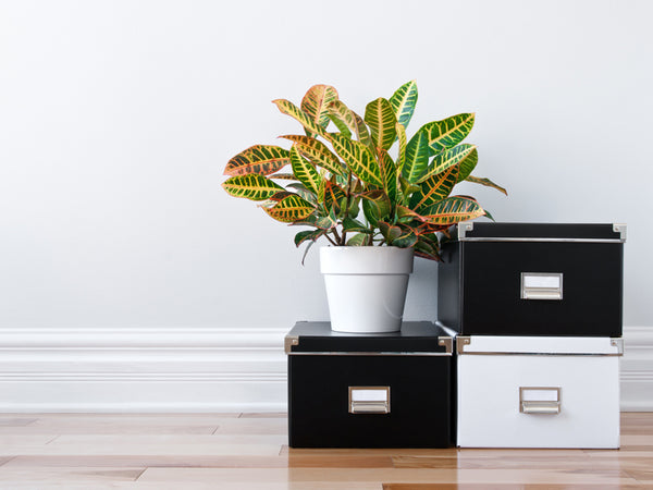 Home Storage: Simple Tips And Tricks